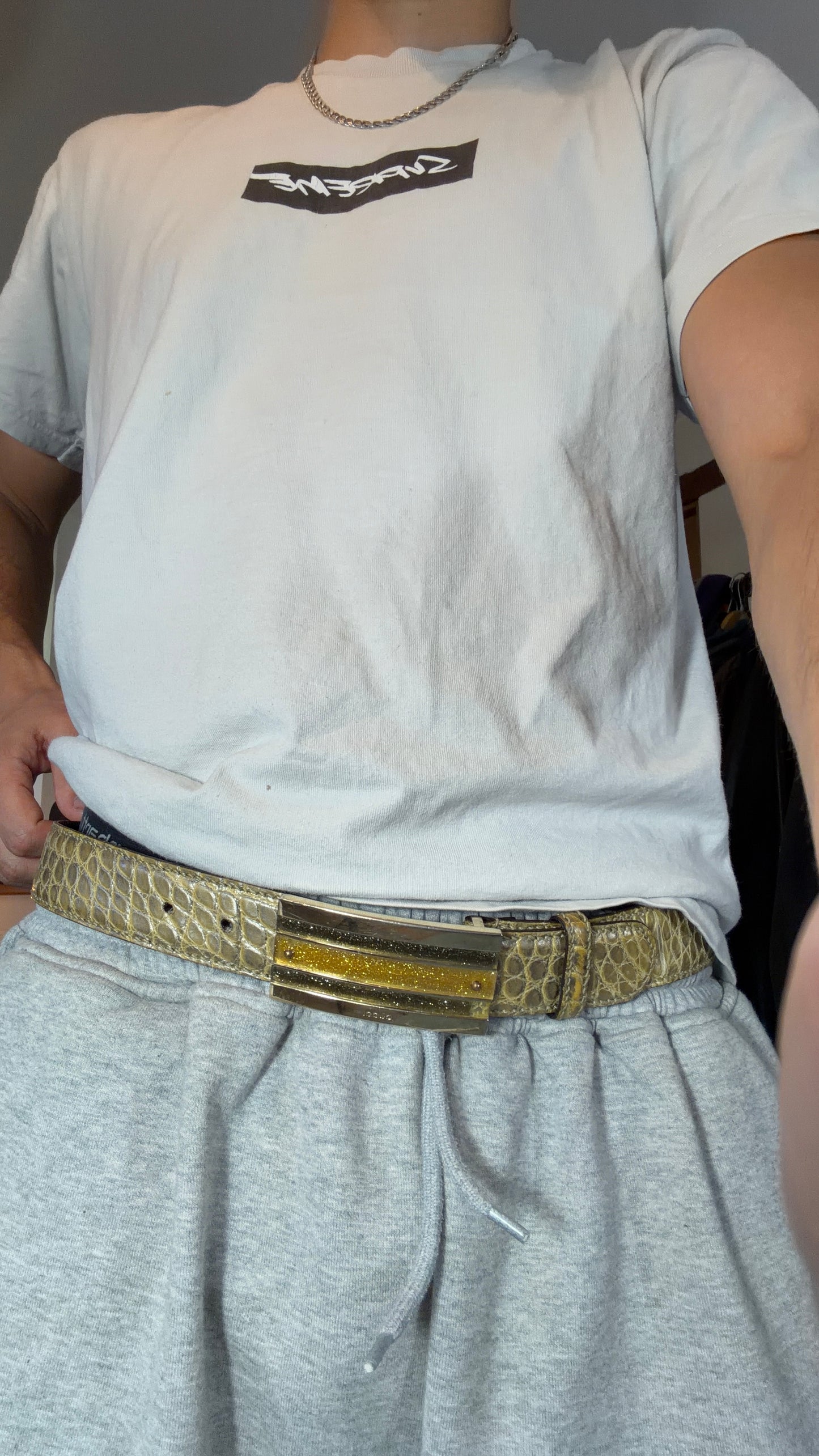Gucci by Tom Ford 00’s Metallic Crocodile Leather Web Belt