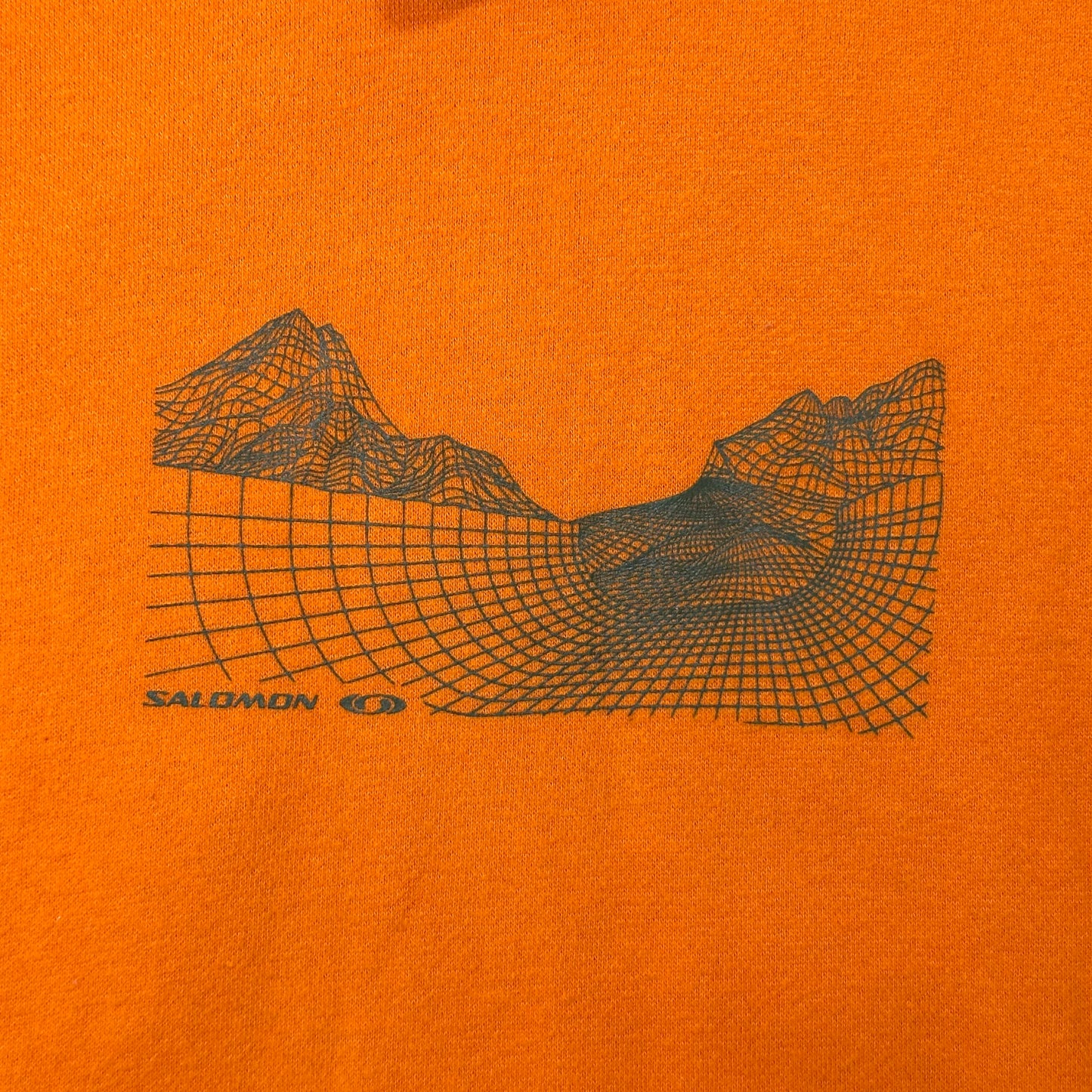 Salomon 2004 4D Web Graphic Technical Toggle Hoodie - L