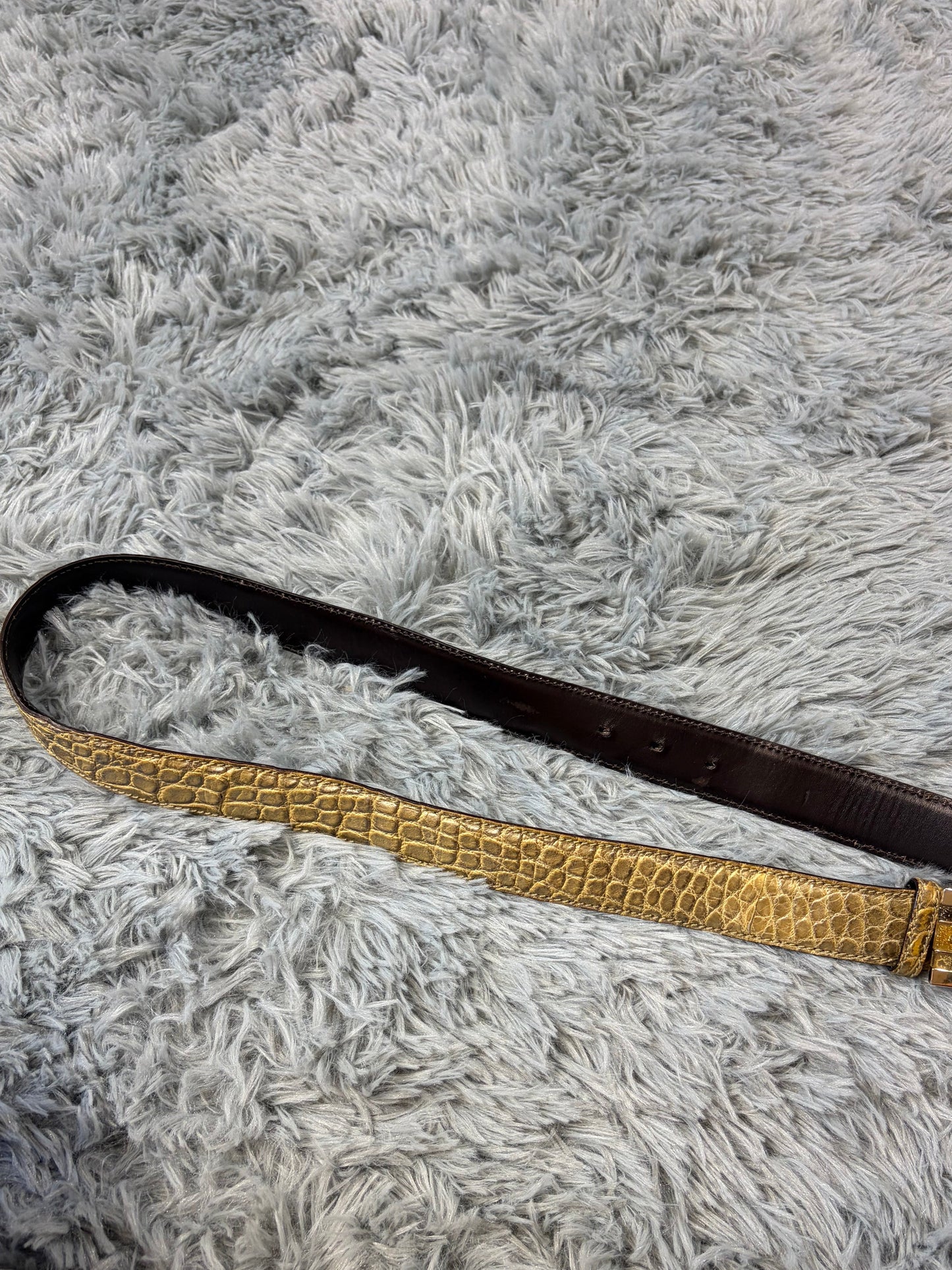 Gucci by Tom Ford 00’s Metallic Crocodile Leather Web Belt