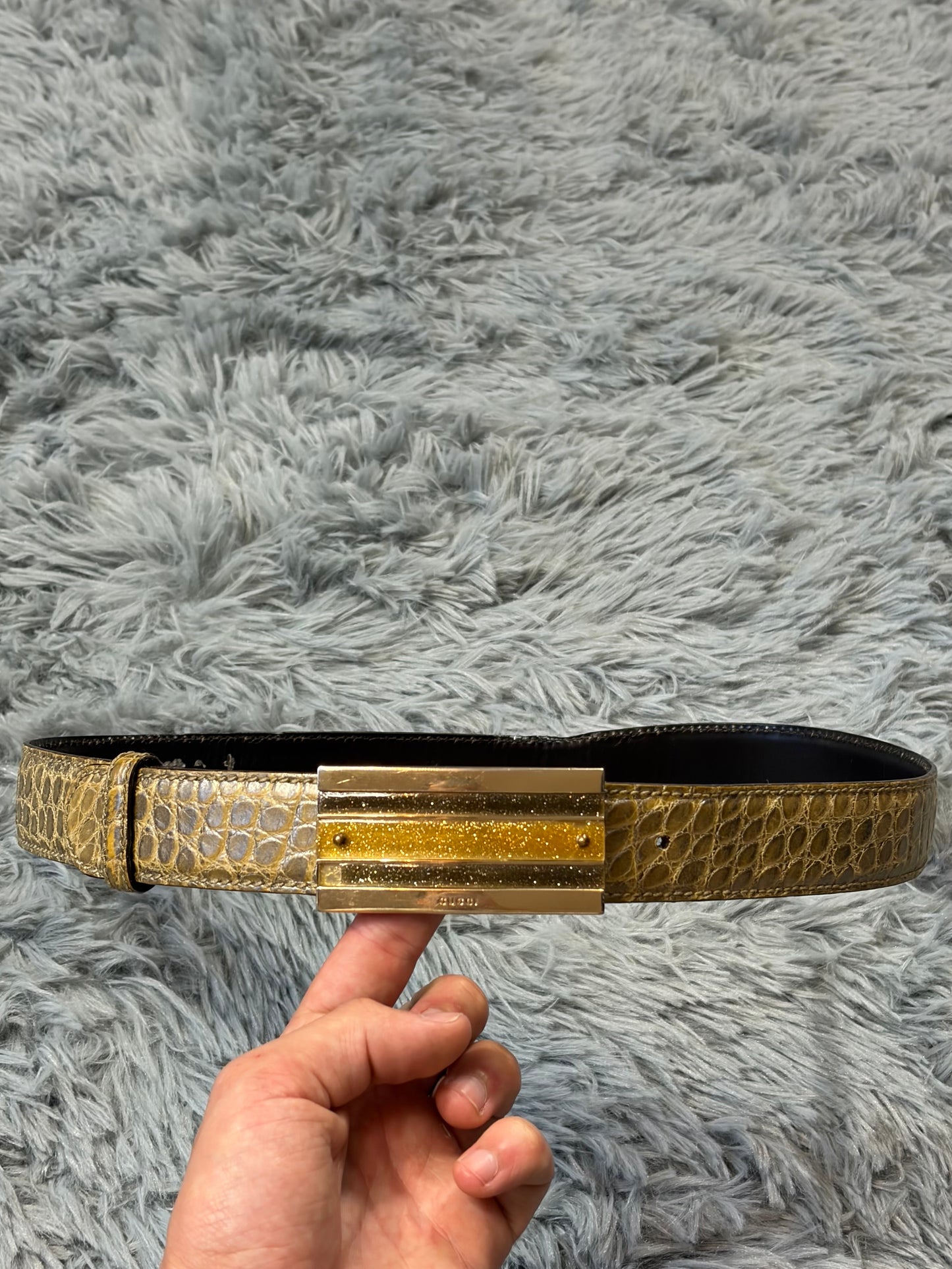 Gucci by Tom Ford 00’s Metallic Crocodile Leather Web Belt